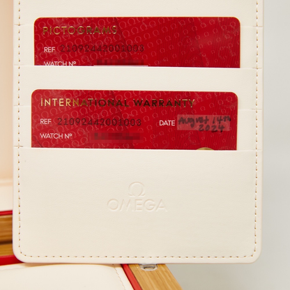 Omega Seamaster Diver 300M Black Dial on Black Rubber Strap Ref 210.92.44.20.01.003